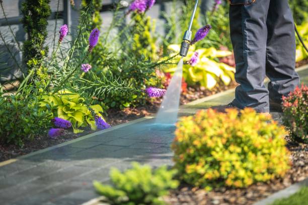 Best Driveway Pressure Washing  in Eureka, MT